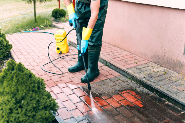 Best Dumpster Area Cleaning  in Battle Creek, NE